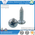 Cabeza de la cacerola del acero inoxidable Philllip Self Tapping Screw