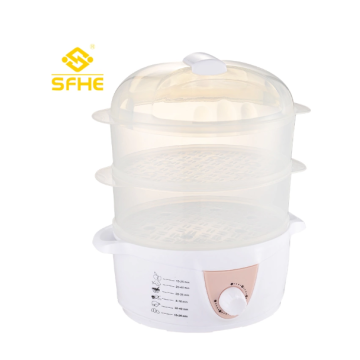 Food Steamer with 2 Layers