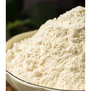 Creamy white Garlic Powder Dehydrated