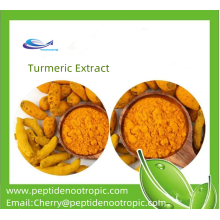 YXchuang Water Soluble Curcumin Organic Turmeric Extract 10%