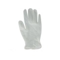 Vinyl /PVC Glove