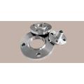 Hastelloy Alloy C276 Flange