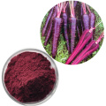 100% Natural Anthocyanidins Black Carrot Extract Powder