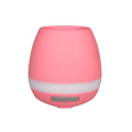 Speaker Flower Pot with Bluehat