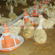 Aves de capoeira alta qualidade comedouros e bebedouros para pato