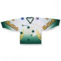 100 % Polyester gestickte Logo Eis Hockey Jersey für Fans