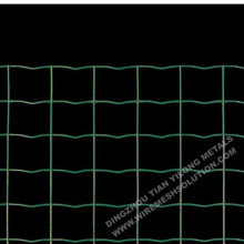 Niederländische Wave PVC Wire Mesh Zaun