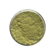 Quercetina de alta calidad Natural Sophora Japonica Quercetina