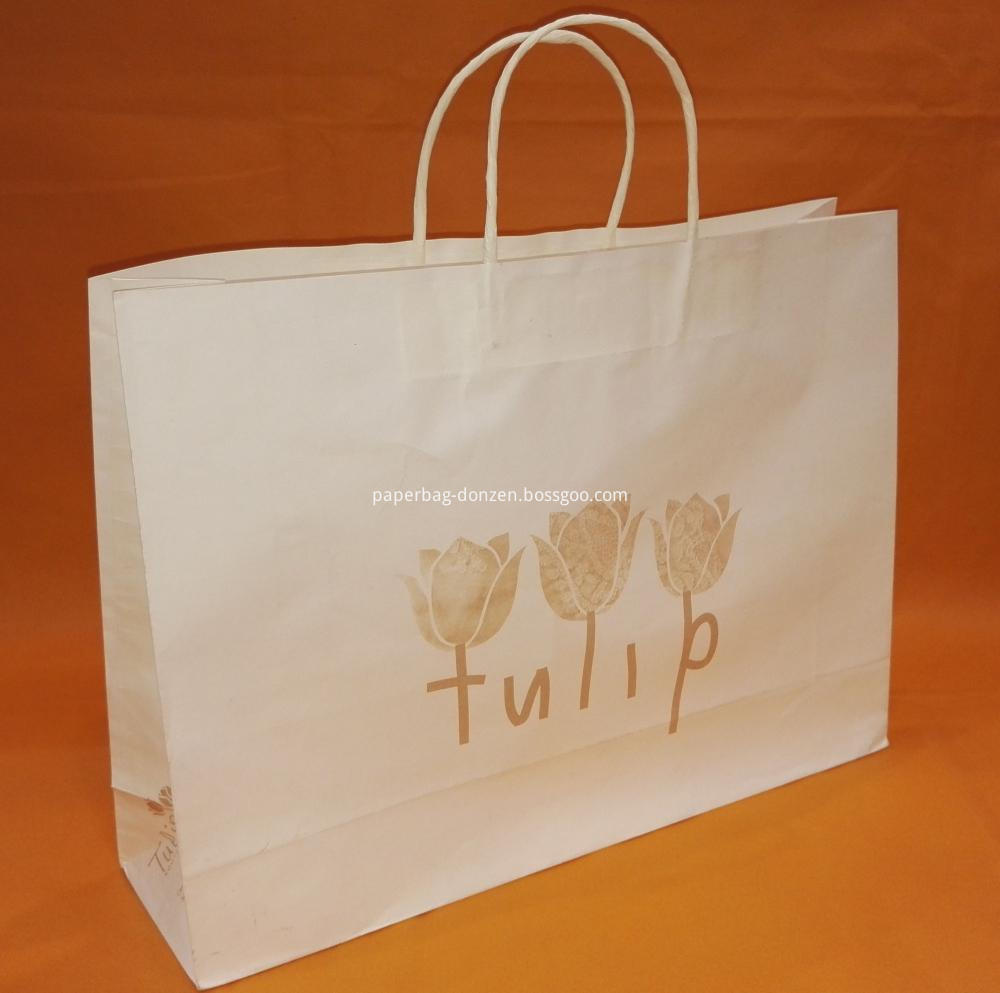 Paper Shopping Bag with Print