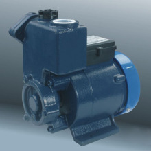 Clean Water Pump (DGP)