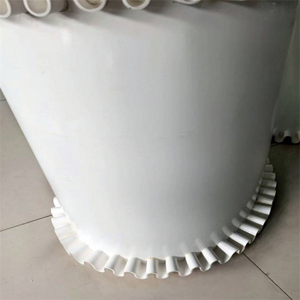 PE Conveyor belt with skirt (1) PE Conveyor belt with skirt (1)