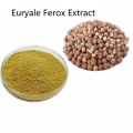 Euryale Ferox Extract Factory Top Fread Products