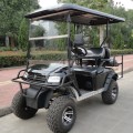 Niedriger Preis Golfwagen mit Off-Road-Reifen