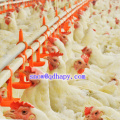 Customized Temperature Sensor for Poultry House with Full Set Equipment