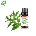 100% Pure Natural Therapeutic Grade Tea Tree Oil