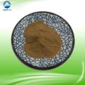 Top Quality Natural Fenugreek Seed Extract Powder