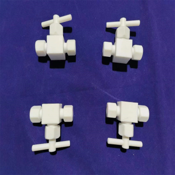 Rayhot PTFE -Scheckventile