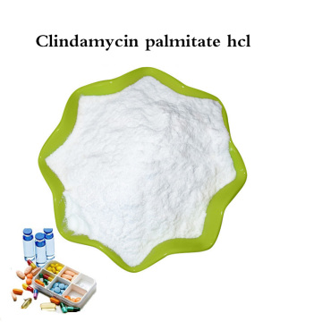 Hydrochlorure de palmitate USP Clindamycine pour la solution orale