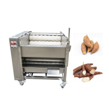 Industrial Potato Washing and Peeling Machine