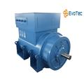 Superior Quality Air Cooled Diesel Engine 7200V Generator