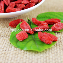 Hersteller Versorgung Goji Beere Extrakt Bio Goji Beeren Wolfberry Mispel