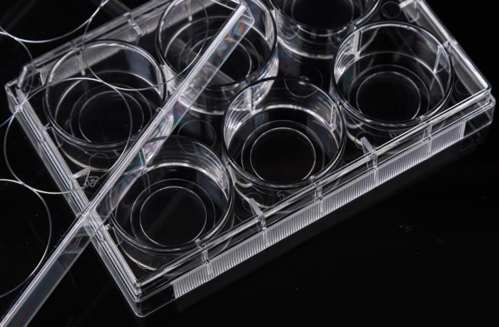 Glass Bottom Plate Glass Bottom Plate
