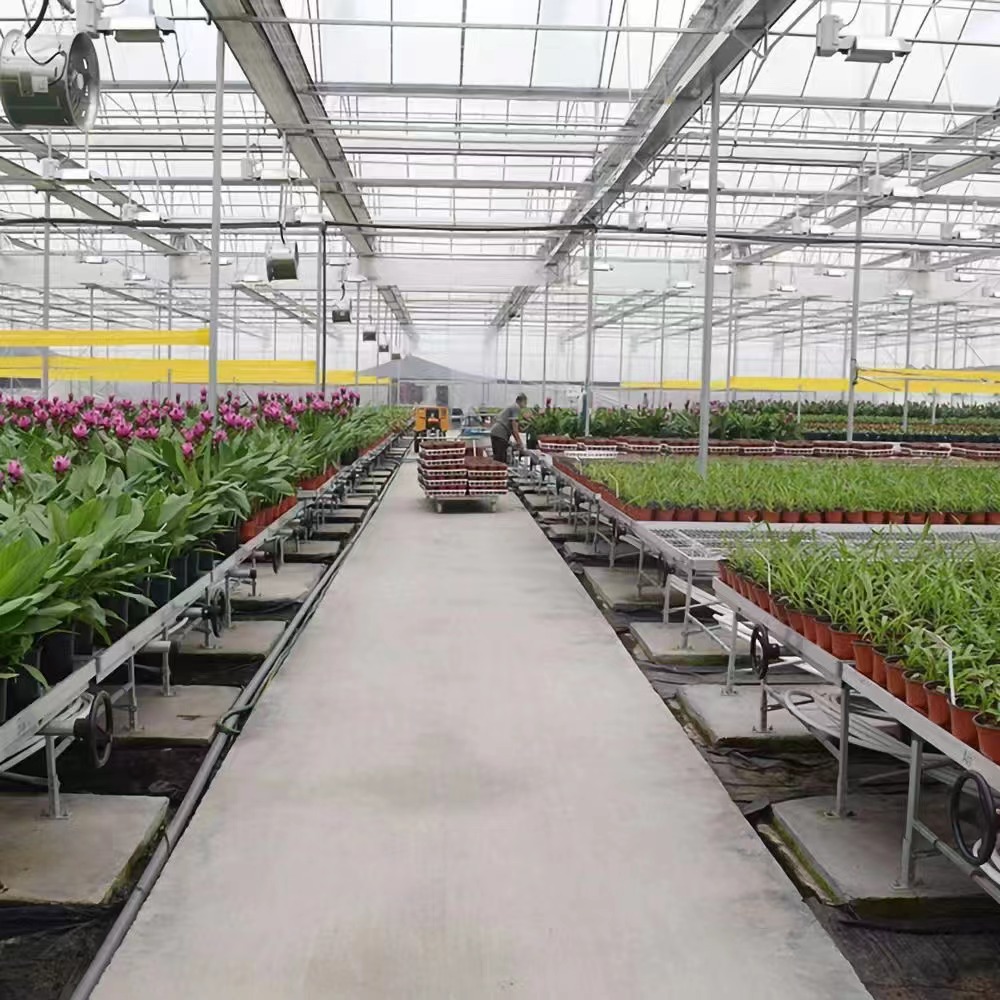 Double Layer or Multi-layer PC Greenhouse Double Layer or Multi-layer PC Greenhouse