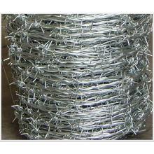 Hot Dipped Galvanized Barbed Wire