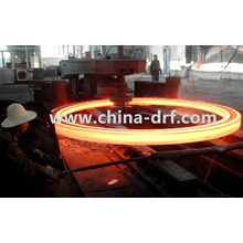 Ring Flange, Forged Ring, Alloy Steel