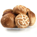 Cogumelo Shiitake de Flor de Legumes Frescos