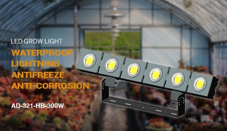 plant grow light