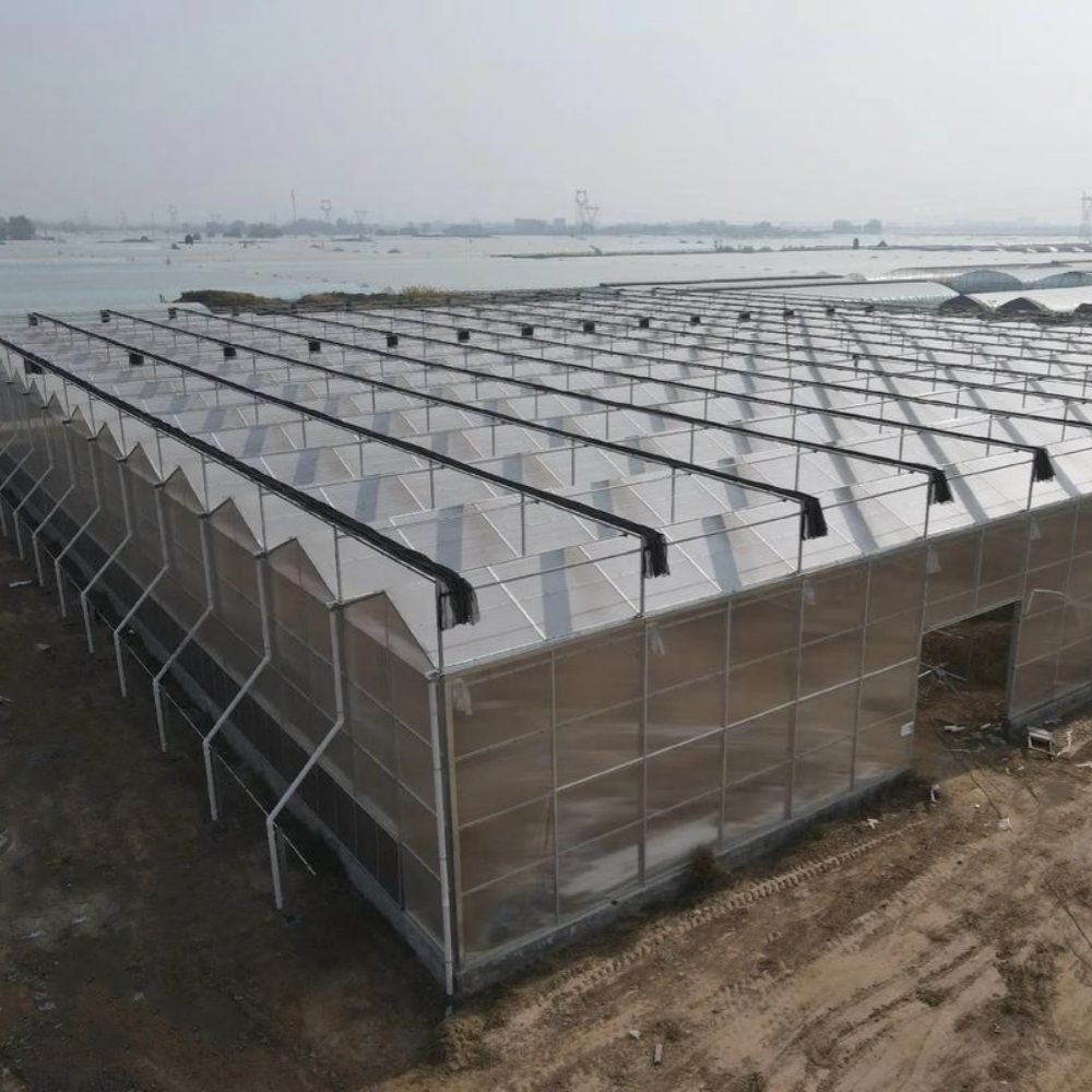 PC Board Multi-span Greenhouse PC Board Multi-span Greenhouse
