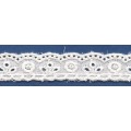 Fashion white Eyelet Embroidered lace / Embroidered lace / lace for wedding dress