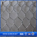 Mesh galvanisé et revêtu de PVC hexagonal