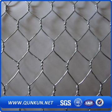 Galvanizado e Revestido de PVC Hexagonal Wire Mesh