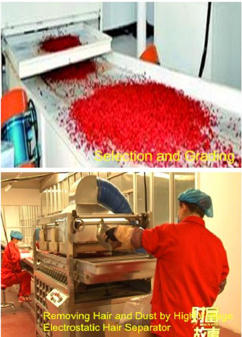 Goji berry grading