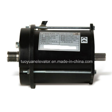 Three Phase Asynchronous Electric Motor for Elevator Parts (TY-60100456)