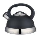 2.5L color painting whistling Teakettle black color