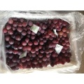 Fresh Red Grape in Yunnan