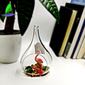 Glass Terrarium Container Geometric Glass Terrarium