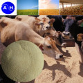 Amino Acid Powder for Feed Additive Poultry