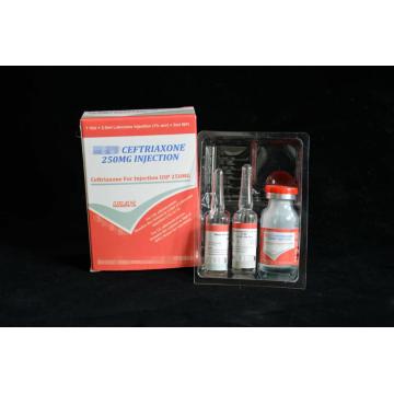 Ceftriaxone sodique pour Injection BP 250MG