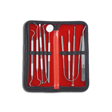 Teeth cleaning tools dental tools kit