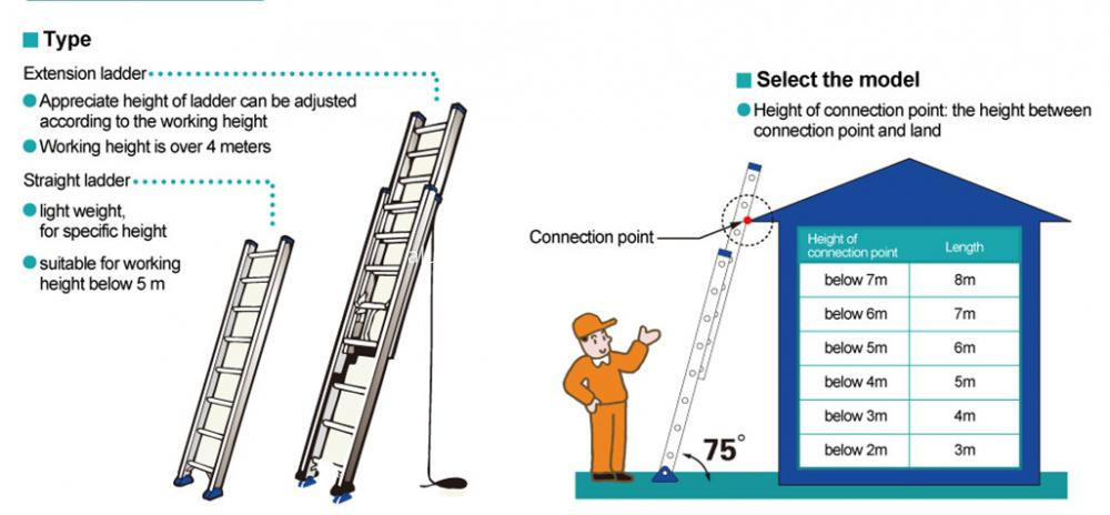 Straight ladder choose