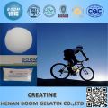 Factory supply Creatine monohydrate powder