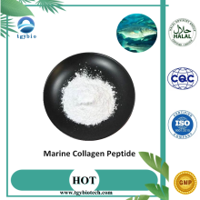 Suministro polvo de péptido de colágeno marino puro