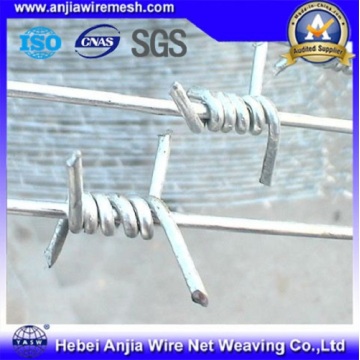 Galvanized Barbed Iron Wire with CE & SGS