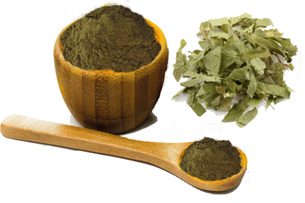 Epimedium extract powder factory Epimedium extract powder factory