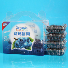 Factory Wholesale Custom Printing Boîte en plastique pour emballage de fruits (sac de légumes)