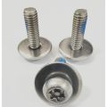 new Pan Head Combination Screw